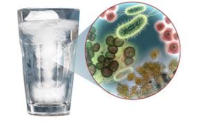 Szklanka z bakteriami